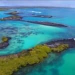 A brand-new ecosystem was found in the deep sea near the Galapagos Islands