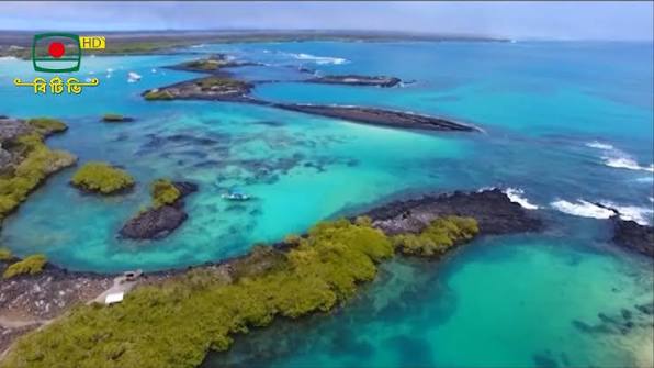 A brand-new ecosystem was found in the deep sea near the Galapagos Islands