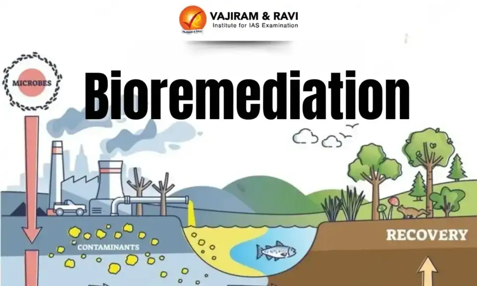 Bioremediation Bacteria to Save the Buriganga: A New Scientific Weapon