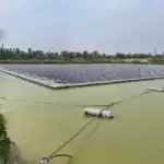 Floating Solar Power Project on Kaptai Lake, Bangladesh: A Revolutionary Model for Renewable Energy