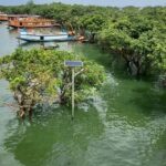 Plastic banned in Tanguar Haor, Bangladesh and illegal leases cancelled
