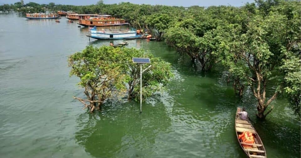 Plastic banned in Tanguar Haor, Bangladesh and illegal leases cancelled