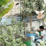Urban Farming on Dhaka’s Rooftops: The Return of Birds and a New Ecosystem in the Concrete Jungle