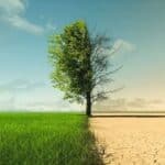 The European Union's groundbreaking 'Nature Restoration Law': Aims to restore a large part of nature by 2030