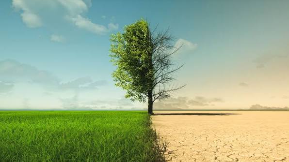 The European Union's groundbreaking 'Nature Restoration Law': Aims to restore a large part of nature by 2030