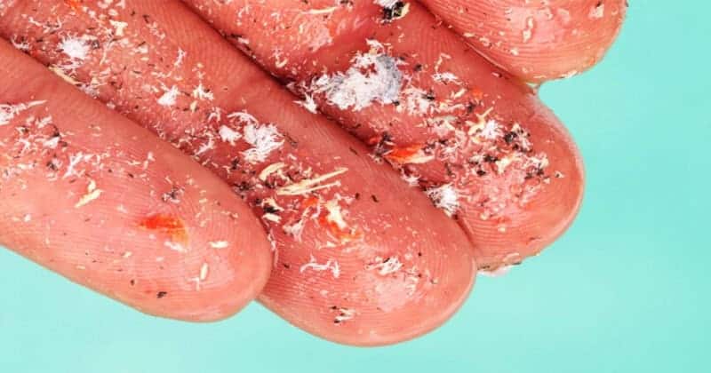 Global Microplastic Crisis: Sensational Research on the Presence of Invisible Plastic in Human Blood and Lungs