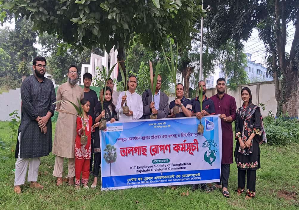 Palm tree saplings planted at Rajshahi University of Engineering and Technology (RUET)