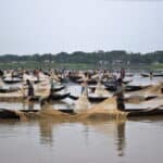 Saving Fisheries Heritage: Government acts firmly to protect Halda River and at-risk dolphins