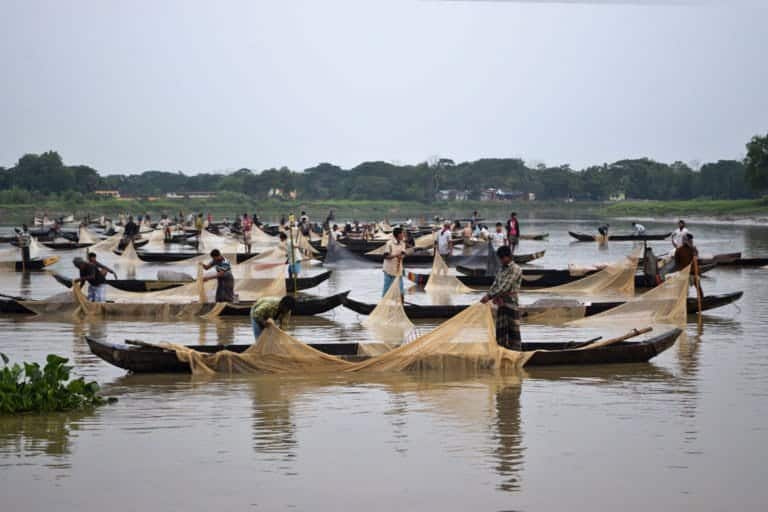 Saving Fisheries Heritage: Government acts firmly to protect Halda River and at-risk dolphins
