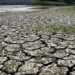 Unprecedented El Niño forecast: WMO's Extreme Warning Causes Global Concern
