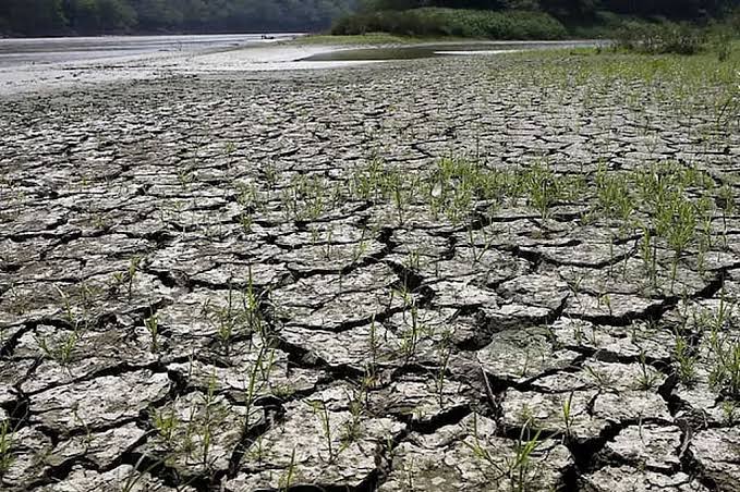Unprecedented El Niño forecast: WMO's Extreme Warning Causes Global Concern