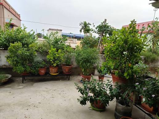 Mega initiative of rooftop gardens and extensive greening to save Dhaka from ‘Urban Heat Island’
