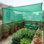 Environmental scientists emphasize rooftop gardens and ‘blue-green networks’ to mitigate heatwaves and waterlogging in Dhaka