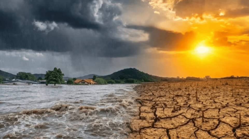 Severe ‘El Niño’ and International Market Volatility: Major Climate Risks Facing Bangladesh’s Agriculture and Food Security