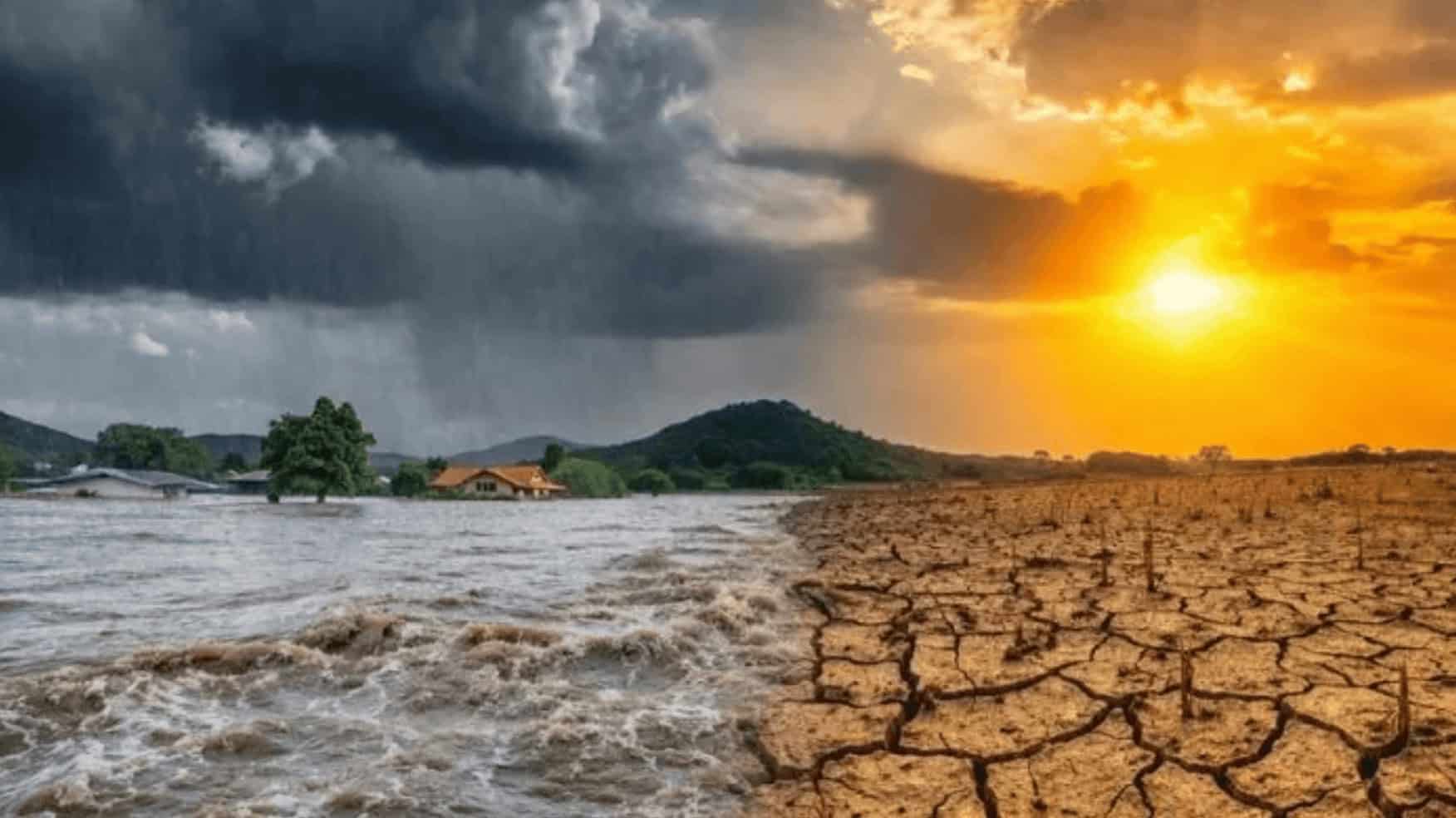 Severe ‘El Niño’ and International Market Volatility: Major Climate Risks Facing Bangladesh’s Agriculture and Food Security
