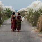 The Vanishing Sharat (Autumn season) of Dhaka