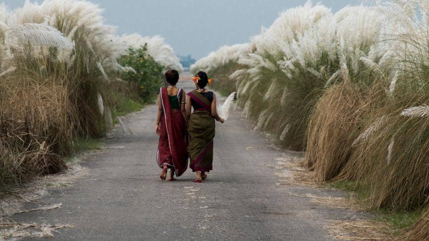 The Vanishing Sharat (Autumn season) of Dhaka