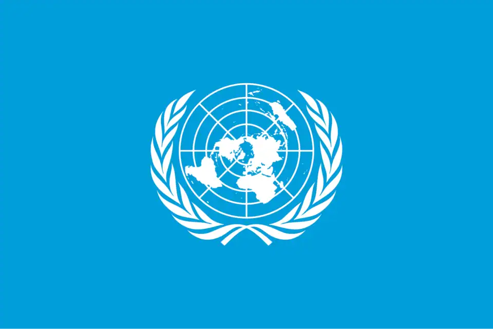 The UN’s Declared Priorities in the Global Context