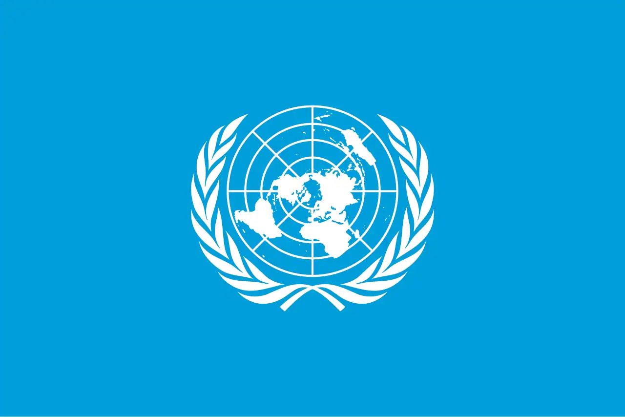 The UN’s Declared Priorities in the Global Context