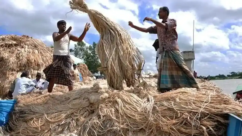 Bangladesh to Prioritize Jute as a Sustainable Alternative to Plastic and Advocate for Climate Justice at COP31