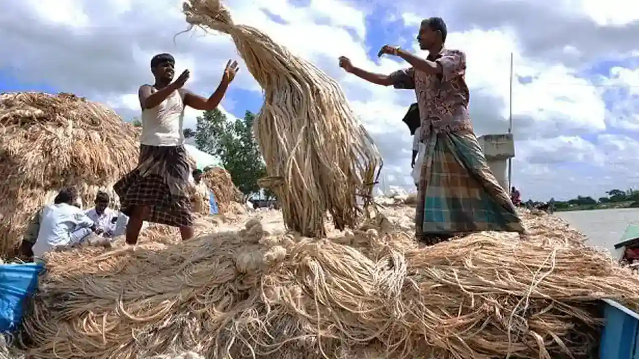 Bangladesh to Prioritize Jute as a Sustainable Alternative to Plastic and Advocate for Climate Justice at COP31